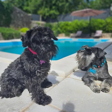 Villa Bellina Muraj *