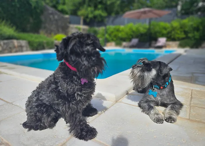 Villa Bellina Muraj *